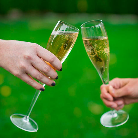 Vinoteque Perlage Flûte À Champagne 17.5 cl Lot 6 Pcs